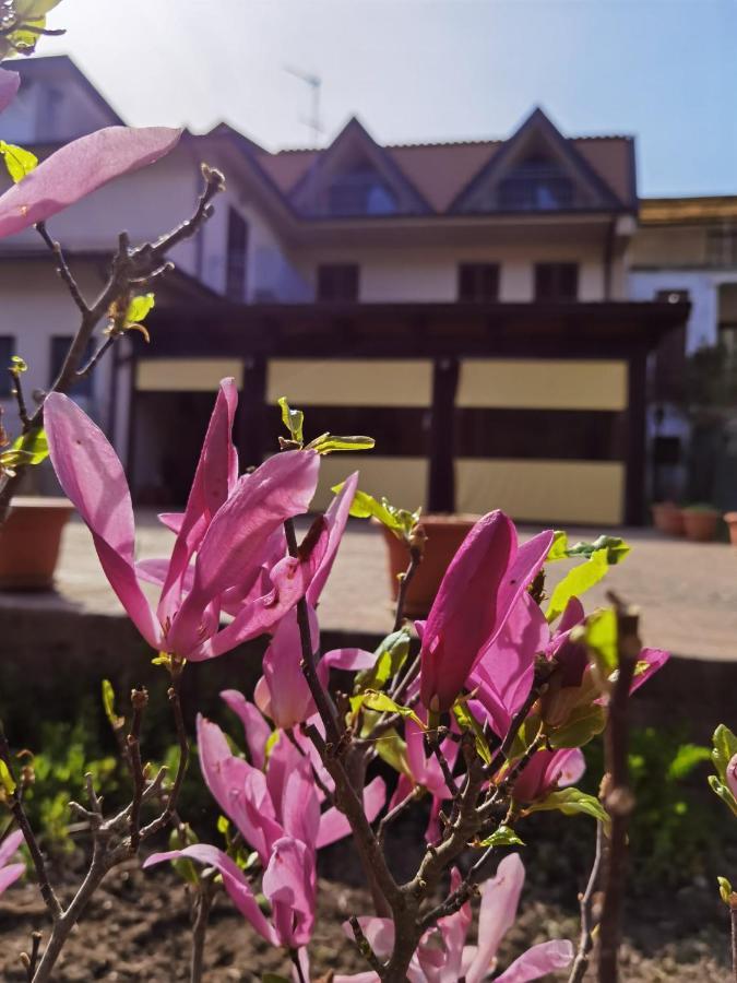 Hotel Edelweiss Laino Borgo 외부 사진